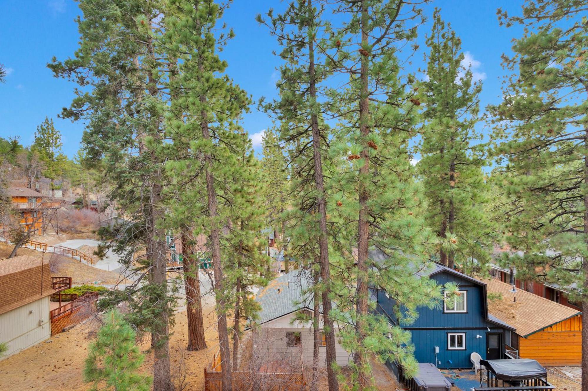 Cozy Crescent Tree Cabin Near Bear Mountain ビッグ・ベアー・レイク エクステリア 写真